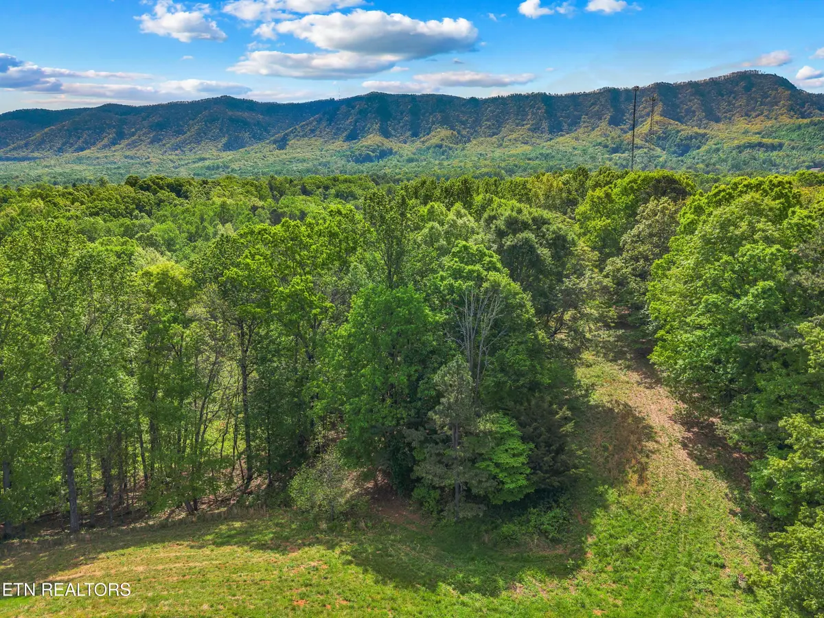County Line Rd, Dandridge, TN 37725 - #1