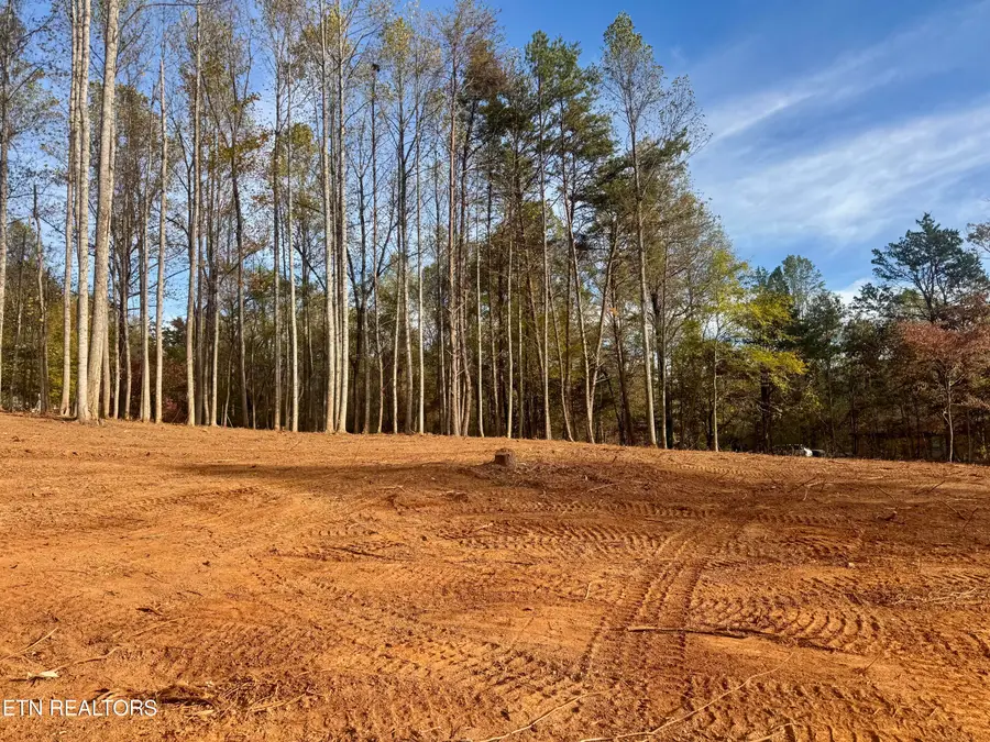 Lot 3 Peachie Way, Cosby, TN 37722 - #2