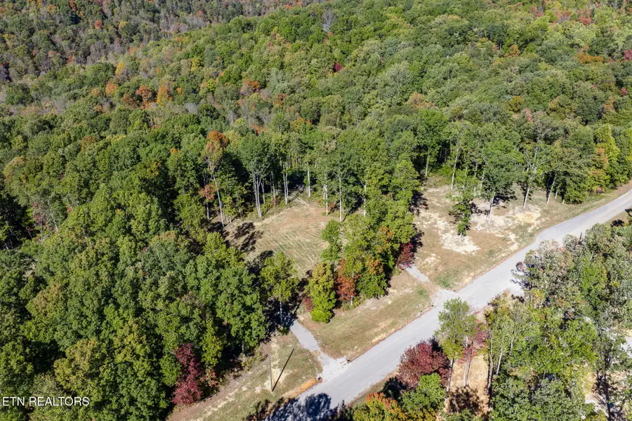 628 Cumberland Cove Rd, Monterey, TN 38574 - #3