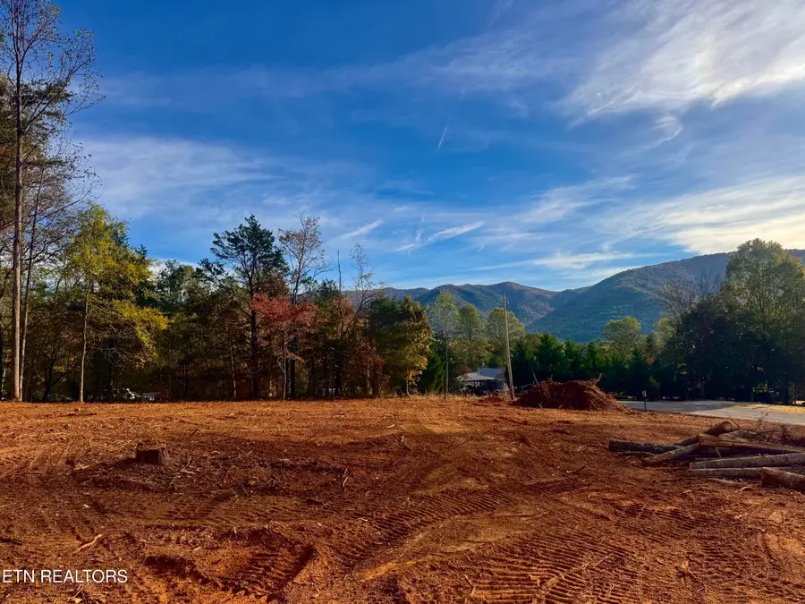 Lot 4 Peachie Way, Cosby, TN 37722 - #2