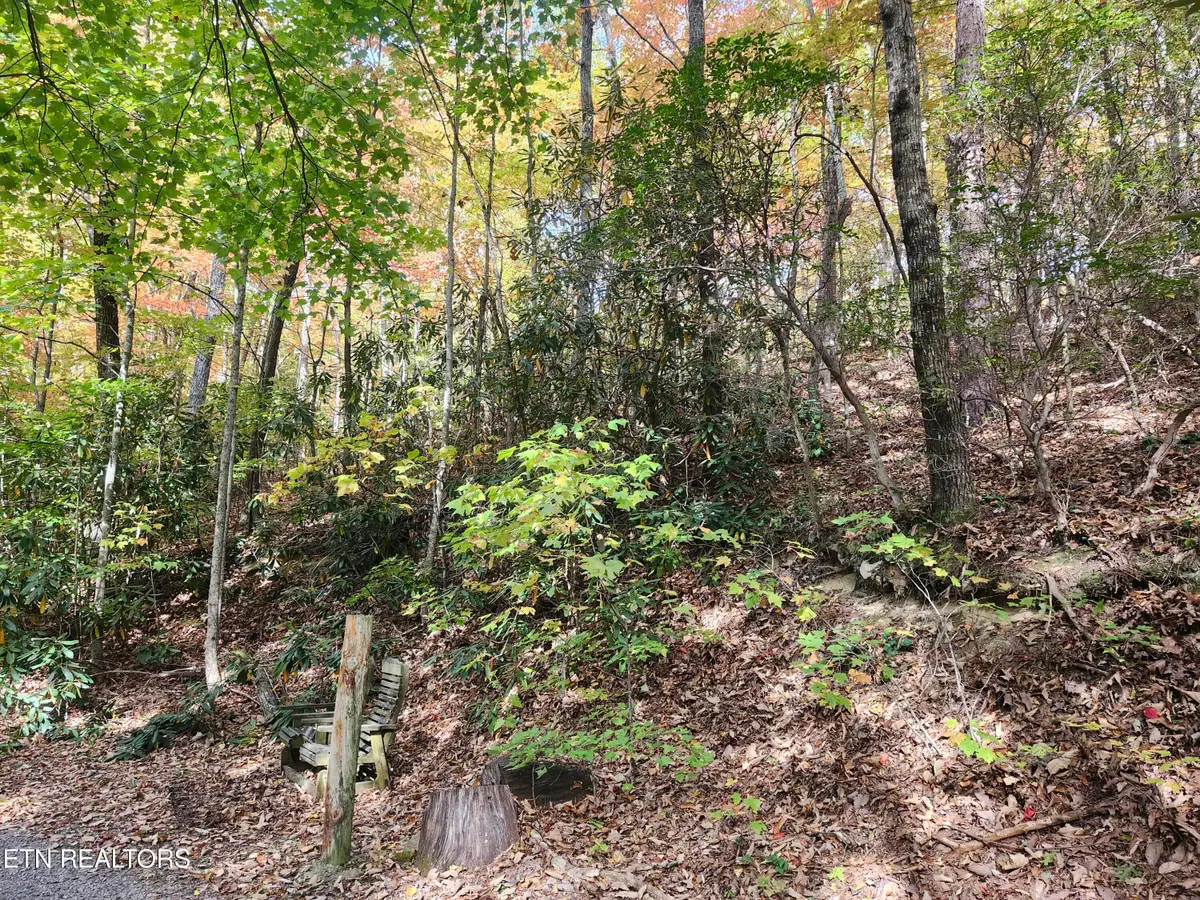 Lot 11 Bluff Mtn. Rd., Sevierville, TN 37876 - #1