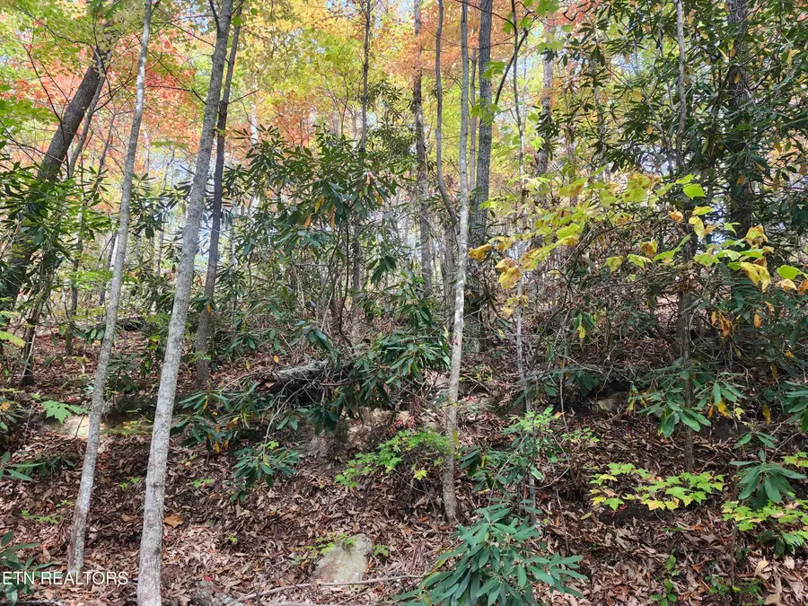 Lot 11 Bluff Mtn. Rd., Sevierville, TN 37876 - #2