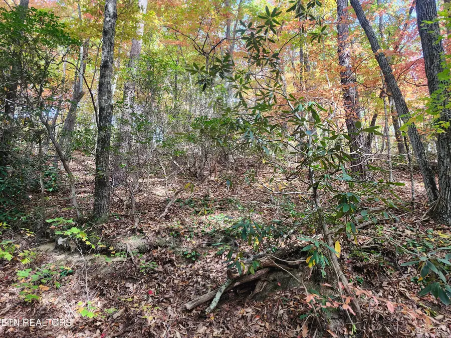 Lot 11 Bluff Mtn. Rd., Sevierville, TN 37876 - #3