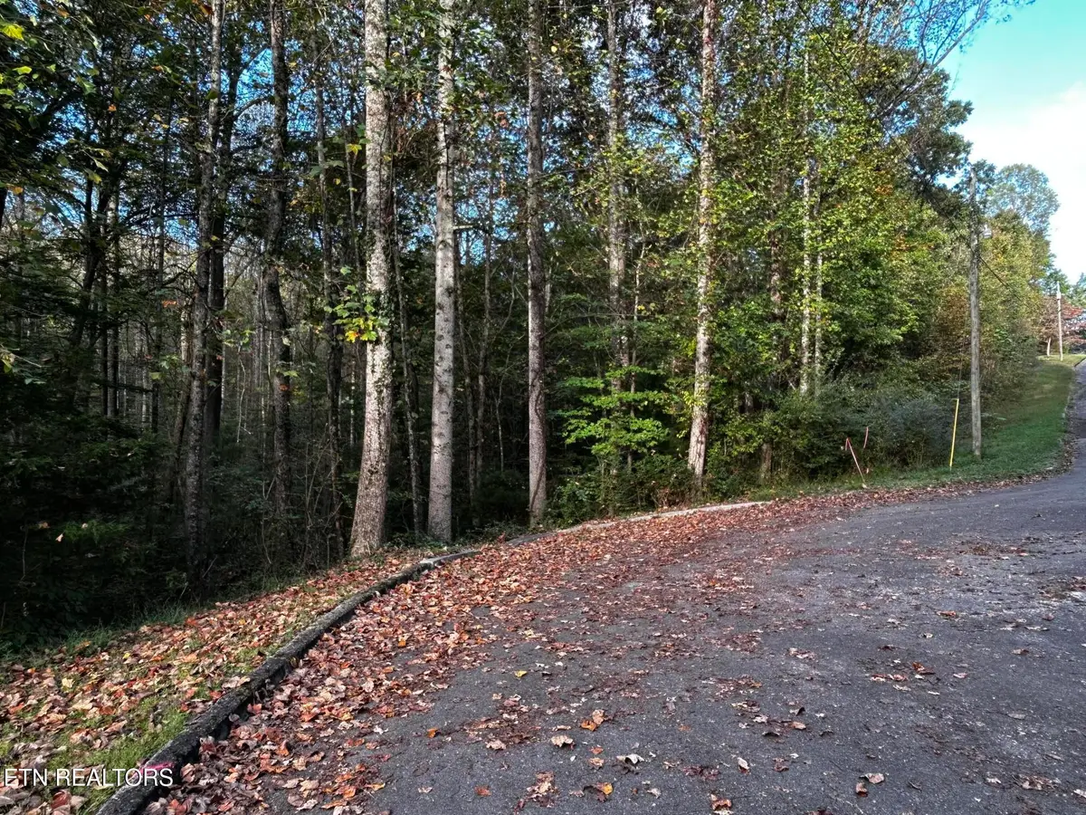 Lot 13 Trenton Lane, Clinton, TN 37716 - #1