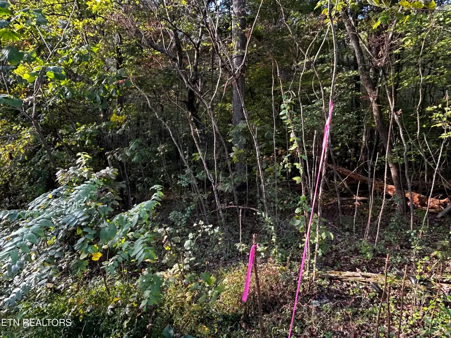 Lot 14 Trenton Lane, Clinton, TN 37716 - #2