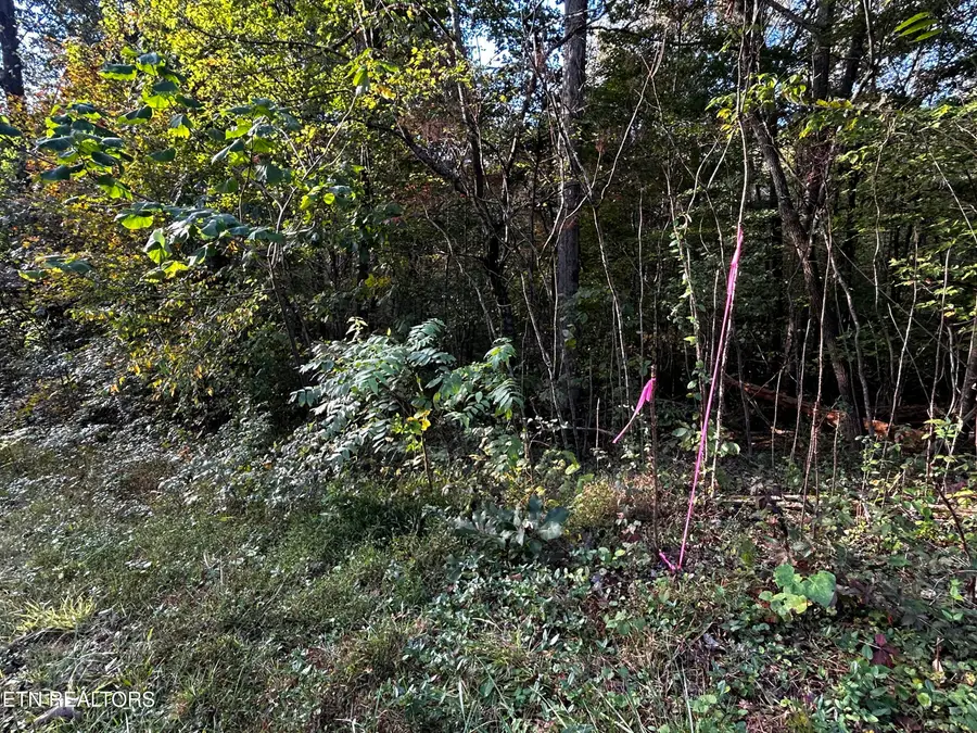 Lot 14 Trenton Lane, Clinton, TN 37716 - #3