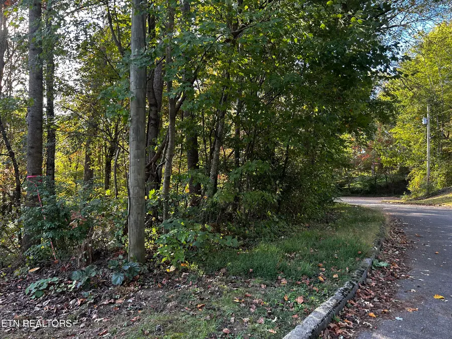 Lot 18 Revere Ave, Clinton, TN 37716 - #2