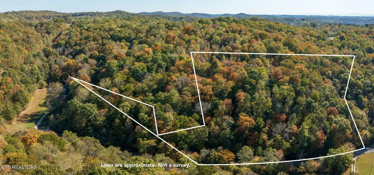 Strong Hollow Lane, Rocky Top, TN 37769 - #1