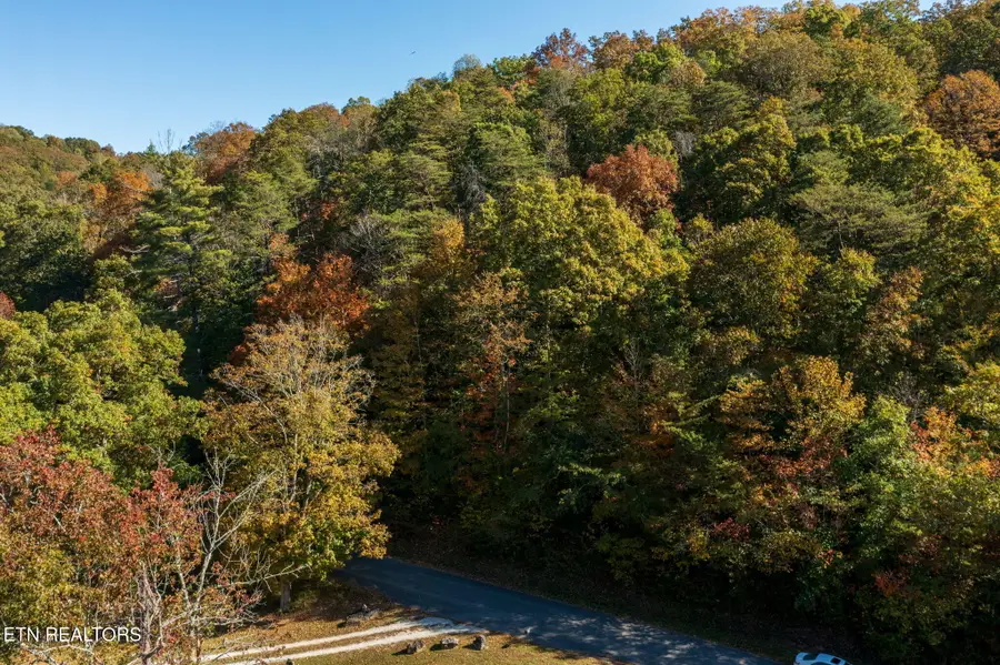 Strong Hollow Lane, Rocky Top, TN 37769 - #3