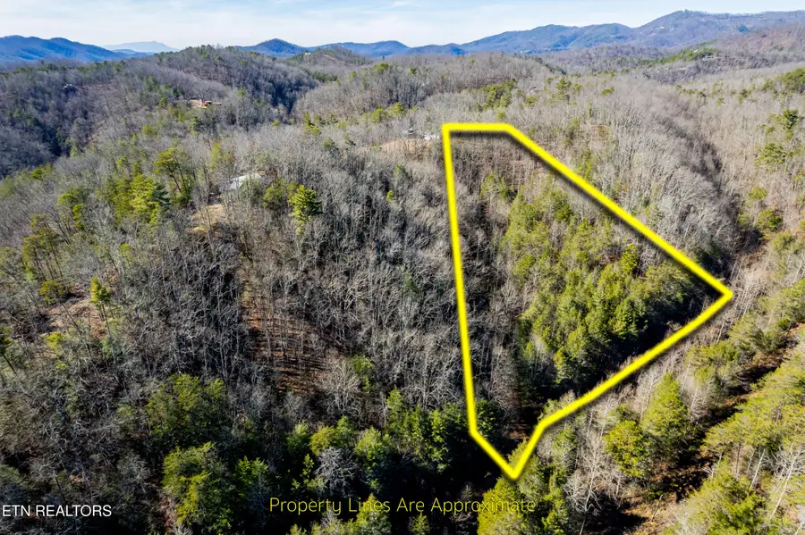 Raymond Way, Cosby, TN 37722 - #2