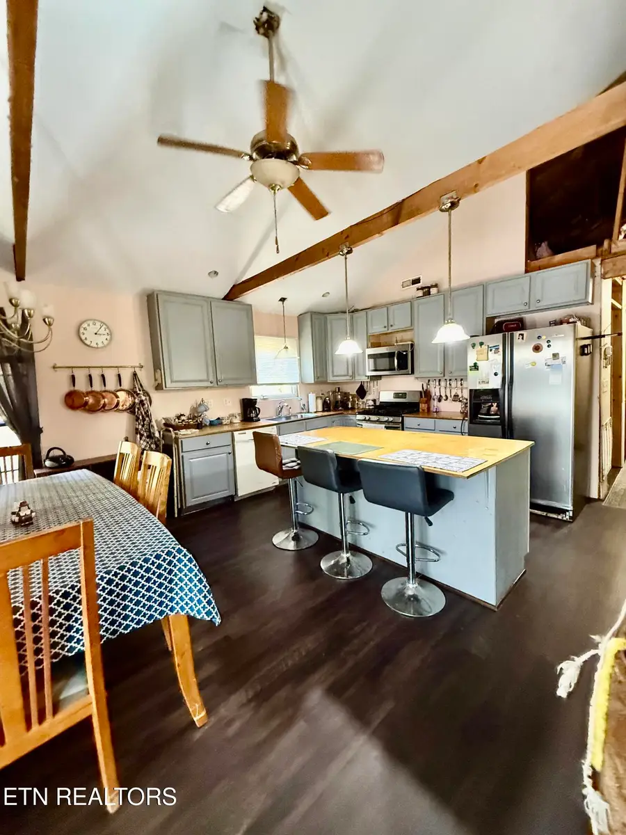 33 Pine Rd, Spring City, TN 37381 - #3