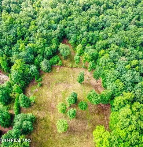 3490 Leatherwood Ford Rd, Jamestown, TN 38556 - #3