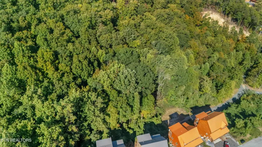 Lot 13 Pine Valley Way, Pigeon Forge, TN 37862 - #3
