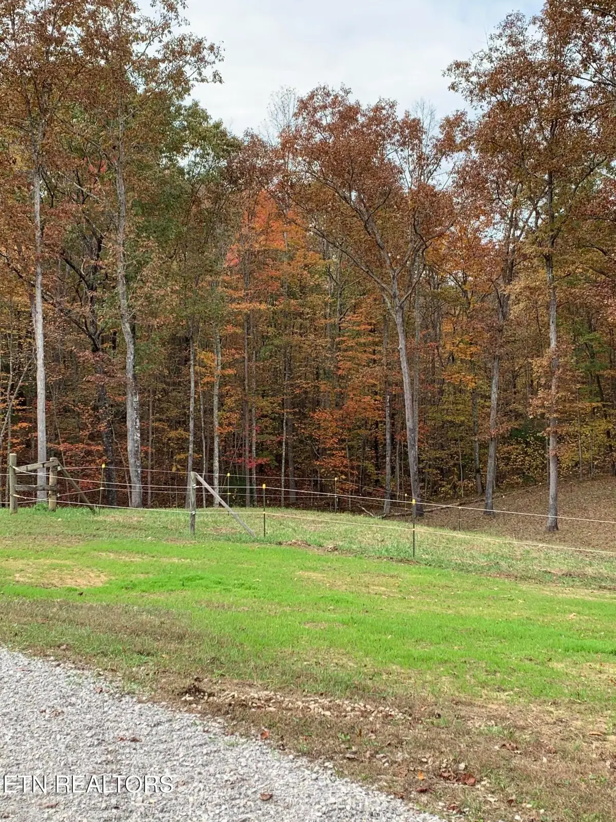 248 Crockett Creek Drive, Jamestown, TN 38556 - #1