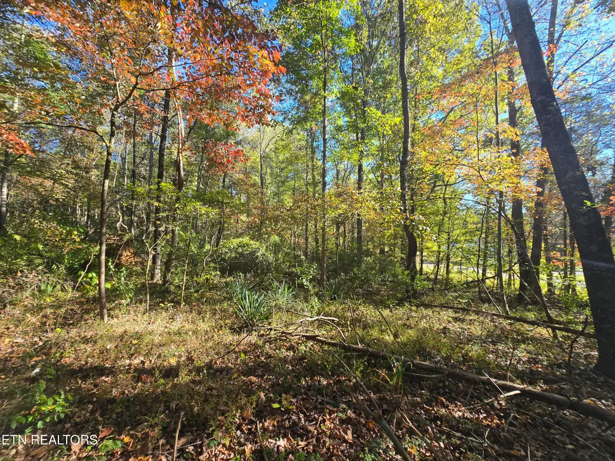 0 Horseshoe Bend Rd, Pennington Gap, VA 24277 - #1