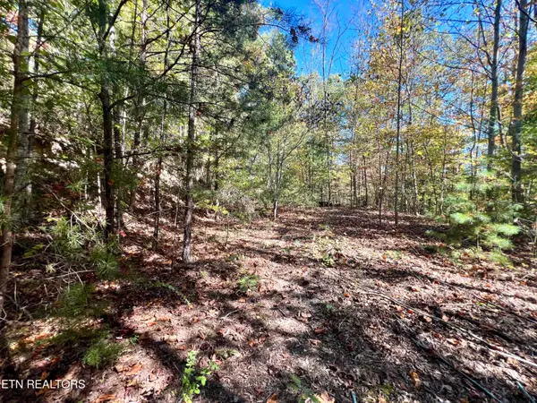 1844 Creek Hollow Way Way, Sevierville, TN 37876