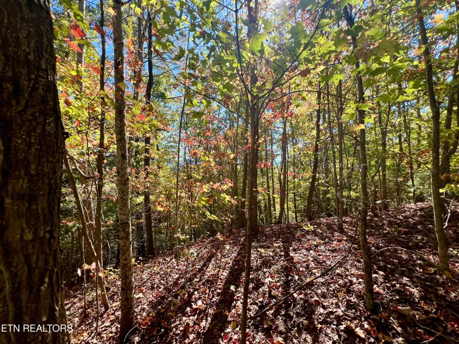 1844 Creek Hollow Way Way, Sevierville, TN 37876 - #3