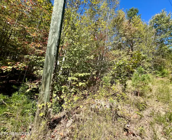 P 20.15 Creek Hollow Way, Sevierville, TN 37876
