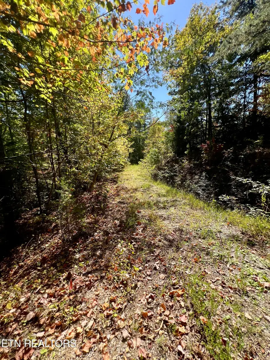 Parcel 20 Creek Hollow Way, Sevierville, TN 37876 - #3