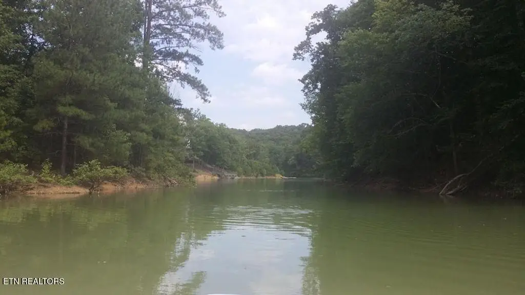 00 Last Chance Rd, Dandridge, TN 37725 - #1