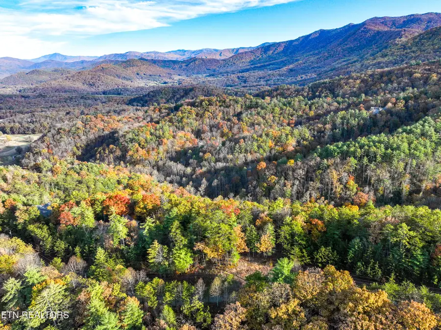 Bear Den Rd, Townsend, TN 37882 - #2