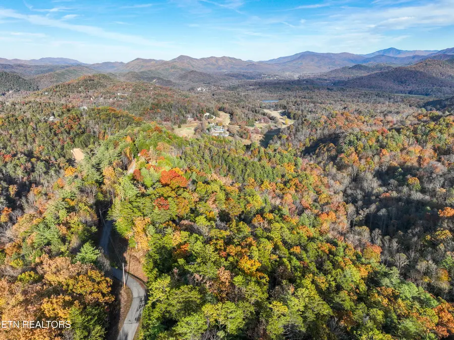 Bear Den Rd, Townsend, TN 37882 - #3