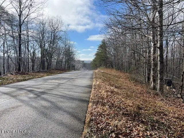 Belmont Drive, Monterey, TN 38574 - #2