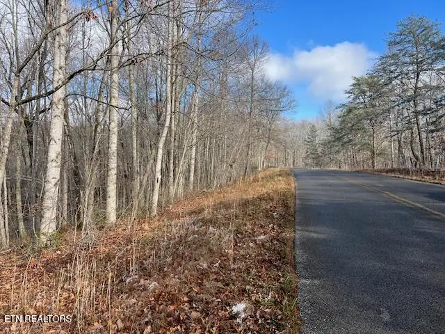 Belmont Drive, Monterey, TN 38574 - #3