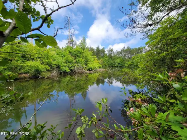 Blk 203 L5 Cumberland Lakes Drive, Monterey, TN 38574