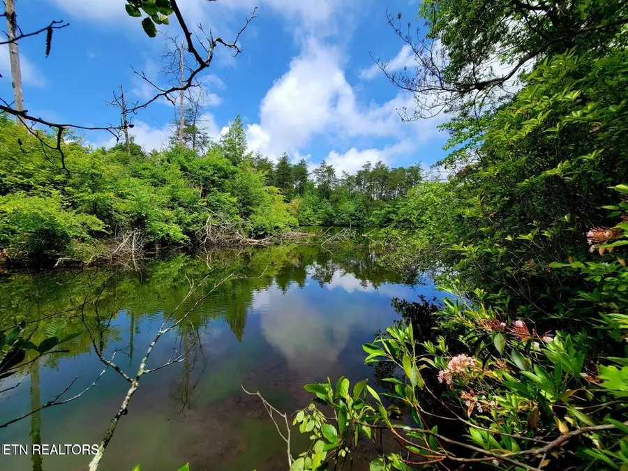 Blk 203 L5 Cumberland Lakes Drive, Monterey, TN 38574 - #2