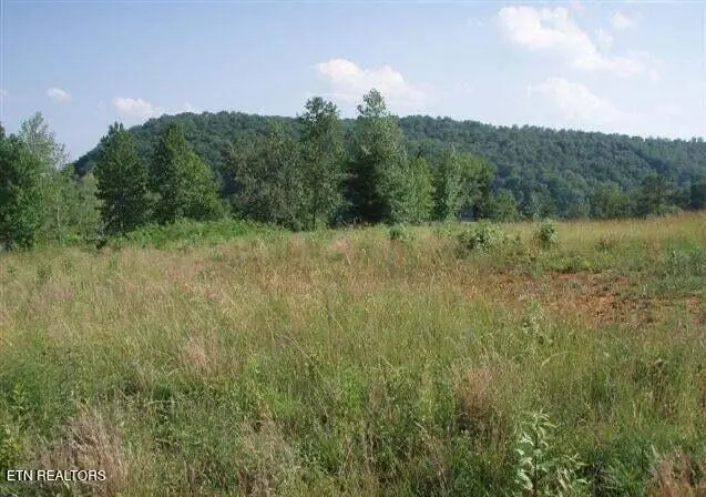 Blue Heron Bluff, Harriman, TN 37748 - #1