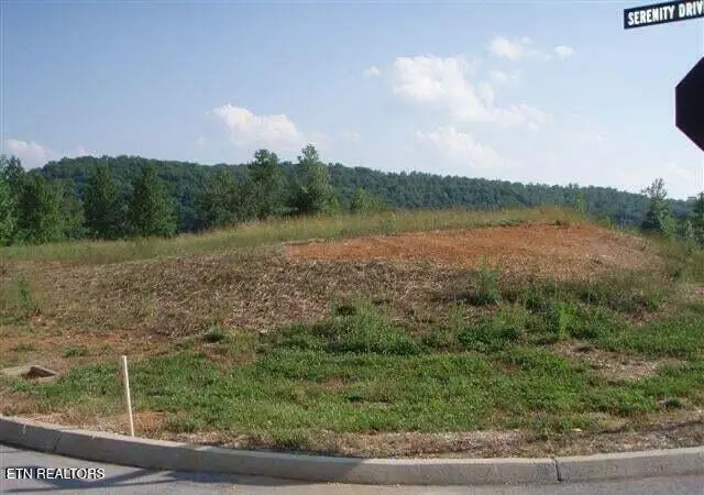 Blue Heron Bluff, Harriman, TN 37748 - #3