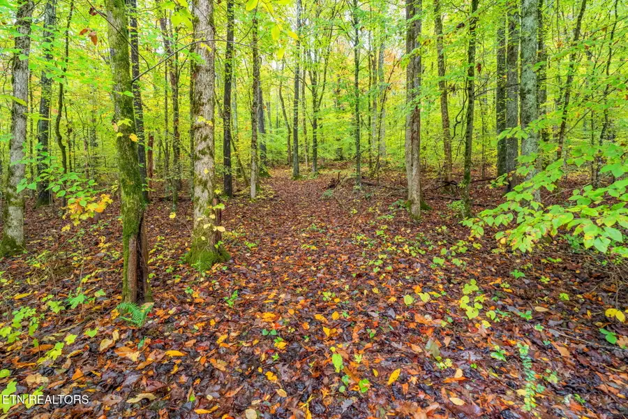 732 N Wooddale Rd, Knoxville, TN 37924 - #3