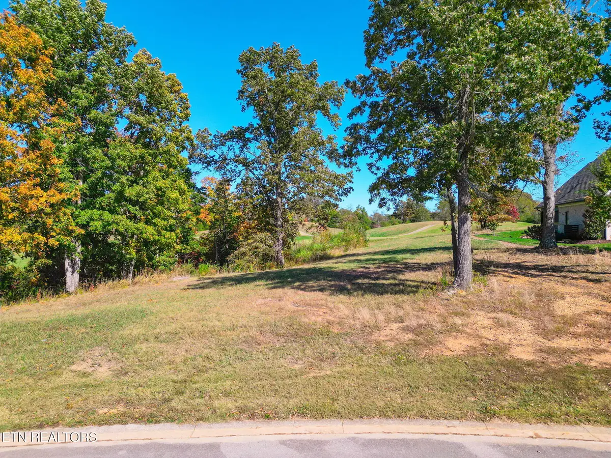 403 Gallery Court, Lenoir City, TN 37772 - #1