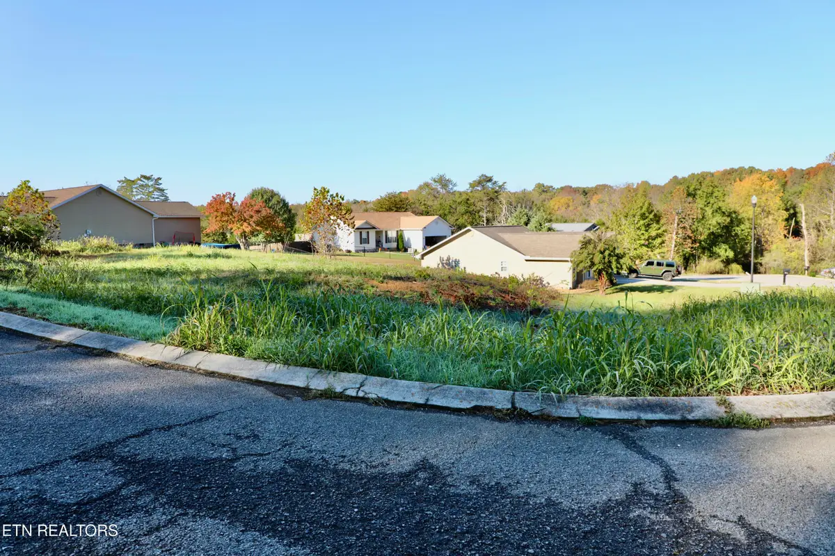 203 Ivens Trail Tr, Madisonville, TN 37354 - #1