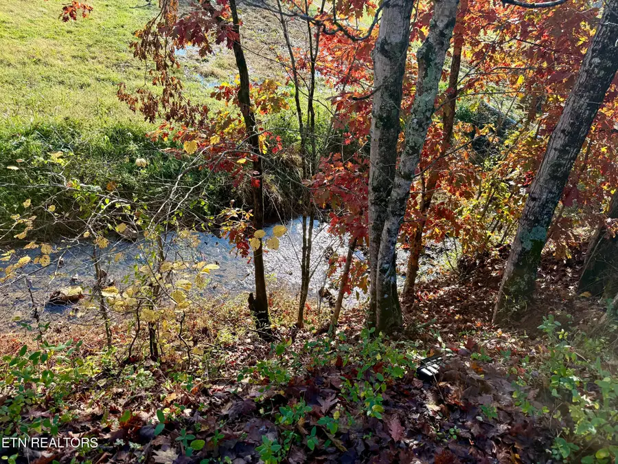 186 Drinnon Lane, Sneedville, TN 37869 - #2