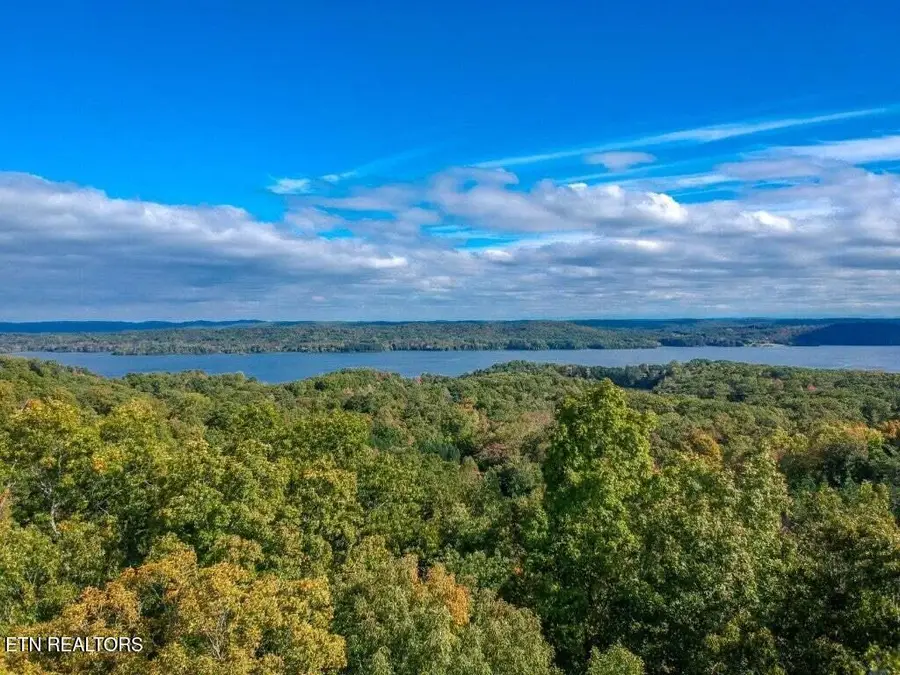 Lot 272 Spruce Drive, Spring City, TN 37381 - #3