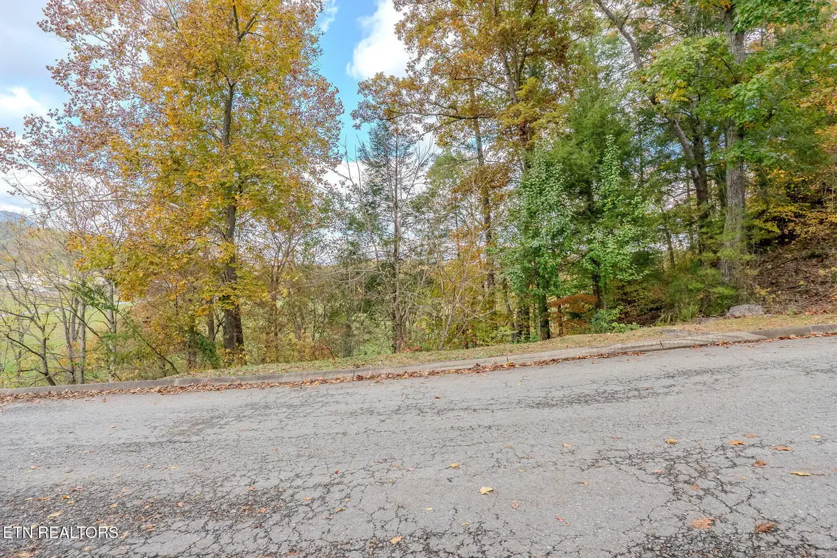 Lot 5 Mountain Lodge Way, Sevierville, TN 37862 - #1