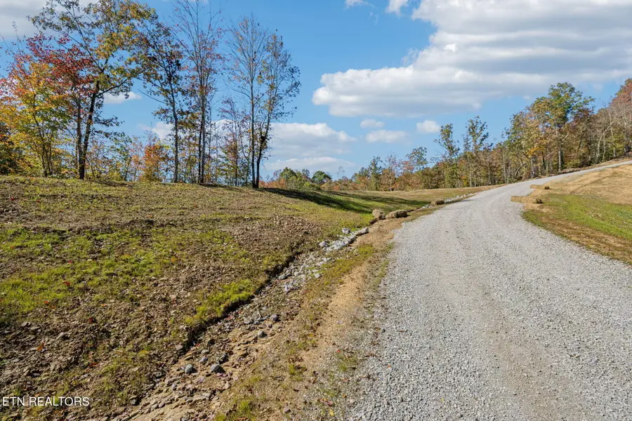 Sheep Ranch Rd., Robbins, TN 37852 - #2