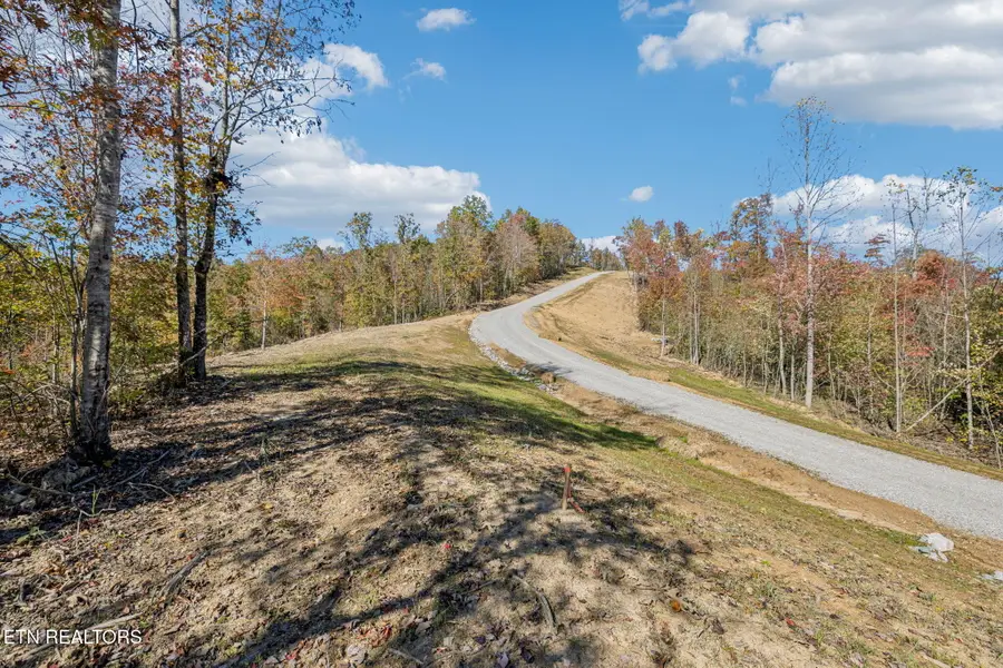 Sheep Ranch Rd., Robbins, TN 37852 - #3