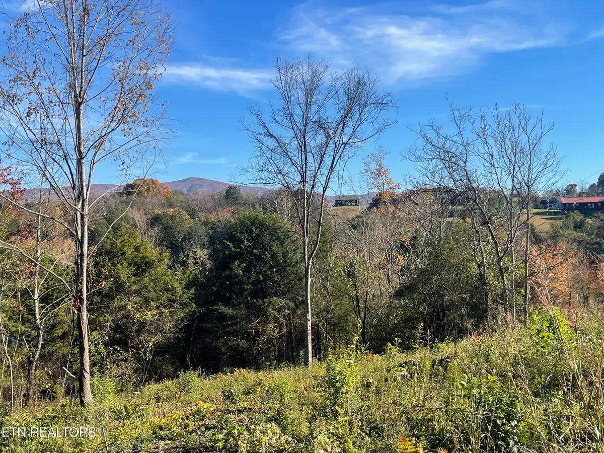 Mountain Ridge, Newport, TN 37821 - #1