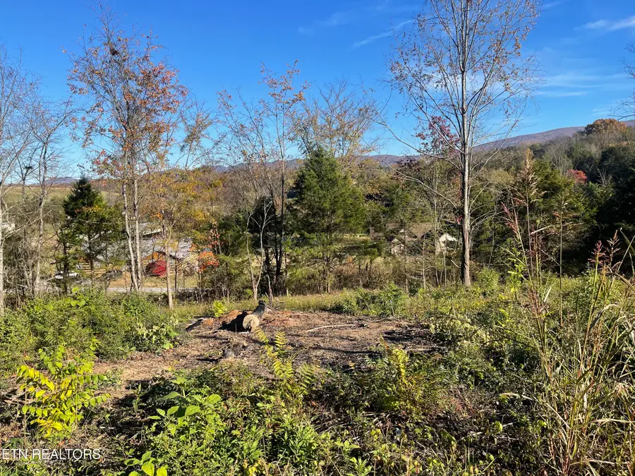 Mountain Ridge, Newport, TN 37821 - #2