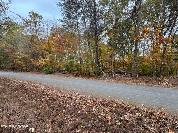 Mountain View Ln Lane, Baneberry, TN 37890