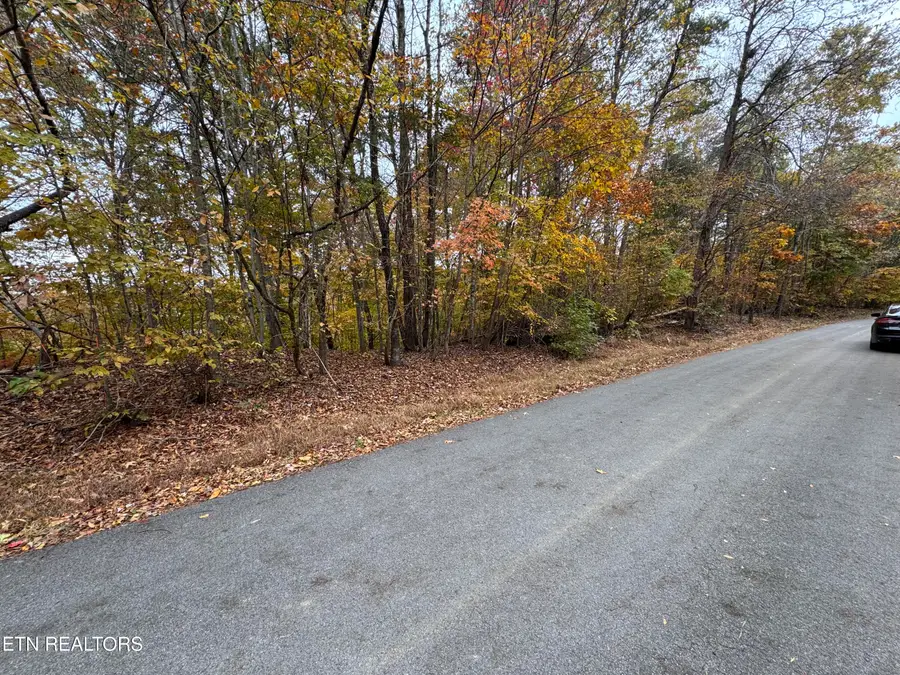 Mountain View Ln Lane, Baneberry, TN 37890 - #2