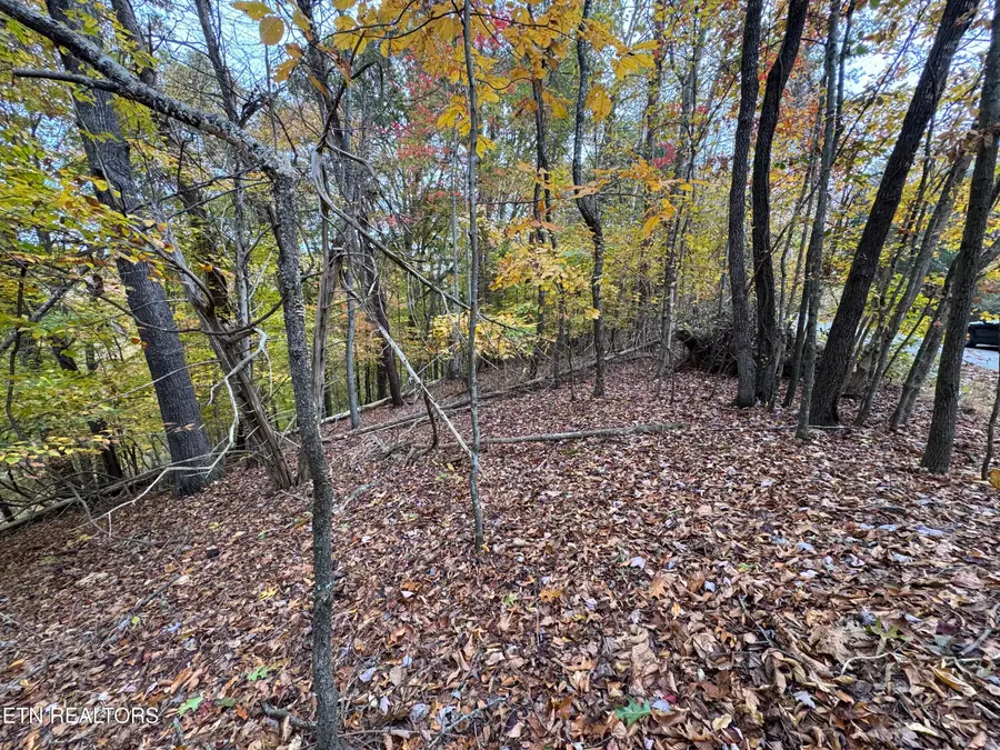 Mountain View Ln Lane, Baneberry, TN 37890 - #3