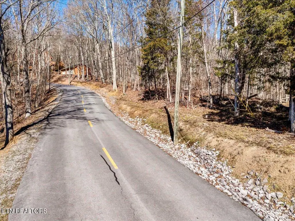 273 Chelaque Way, Mooresburg, TN 37811 - #1