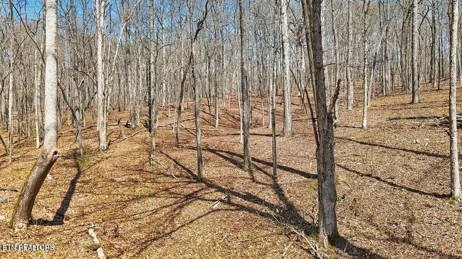 1300 Old Sugar Limb Rd, Loudon, TN 37774 - #3