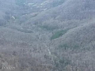 Baird Branch, Winfield, TN 37892 - #1