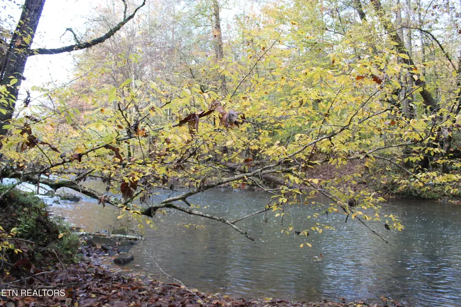 Baird Branch, Winfield, TN 37892 - #3