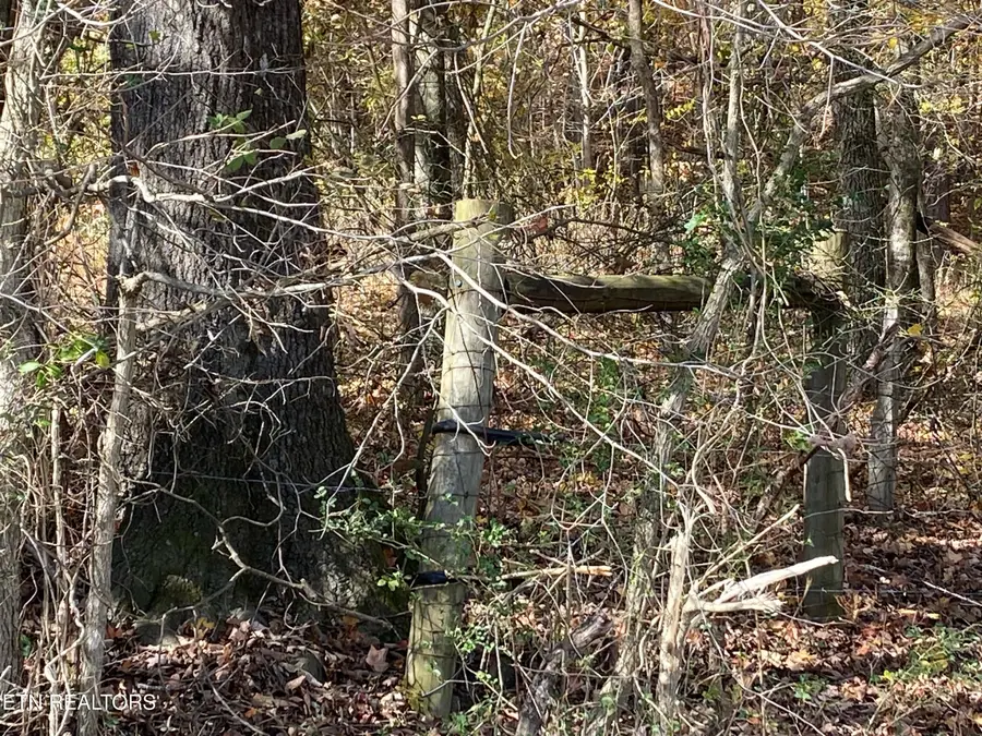 00 County Road 62, Riceville, TN 37370 - #3